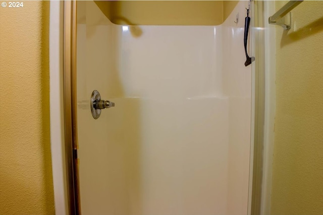 room details with walk in shower