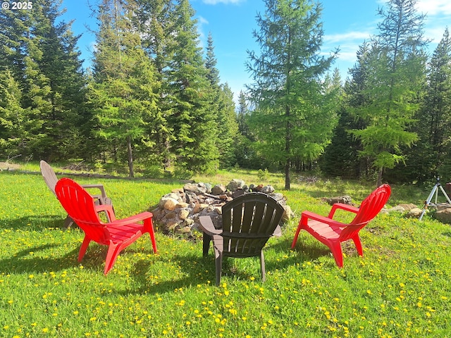 64664 E Wallowa Rd, Joseph, OR 97846 - view of yard