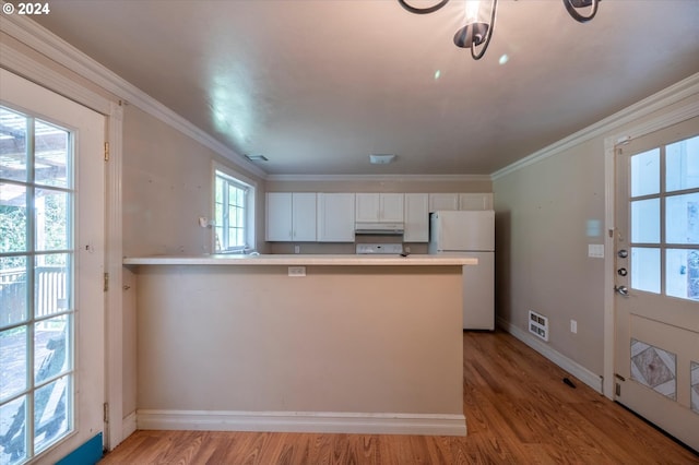 94213 Kerber Dr, Langlois, OR 97450 - kitchen with freestanding refrigerator, under cabinet range hood, a peninsula, ornamental molding, and light wood-style flooring