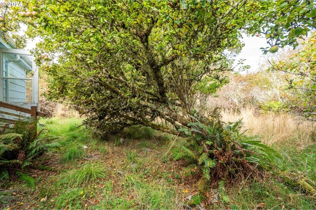 94213 Kerber Dr, Langlois, OR 97450 - view of local wilderness