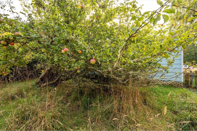 94213 Kerber Dr, Langlois, OR 97450 - view of undeveloped land