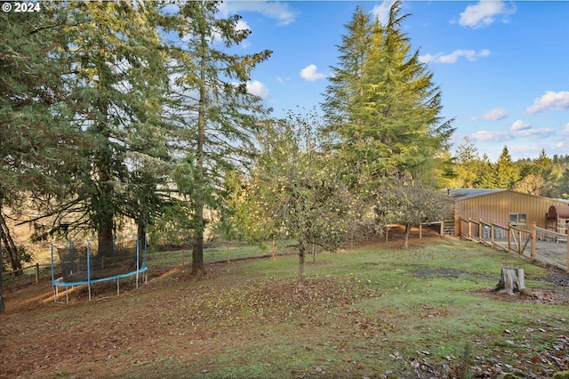 view of yard with a rural view and a trampoline