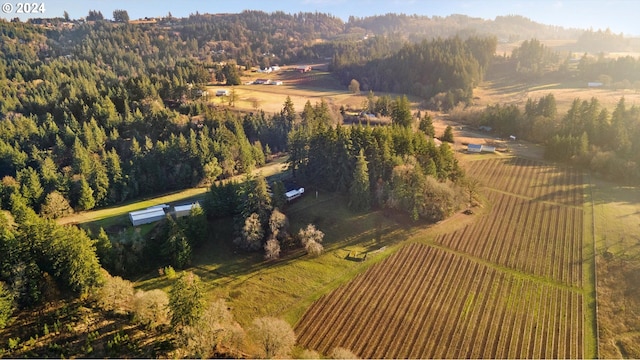 birds eye view of property featuring a rural view