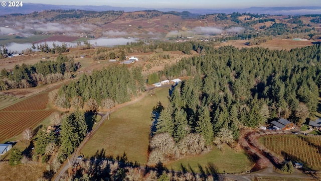 bird's eye view featuring a rural view and a water view