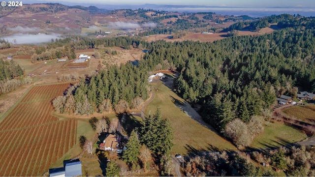 drone / aerial view featuring a rural view