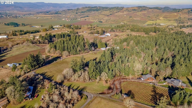 aerial view featuring a rural view