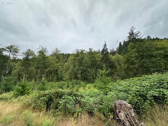 2 N Dubois Rd, Ariel WA, 98603 land for sale