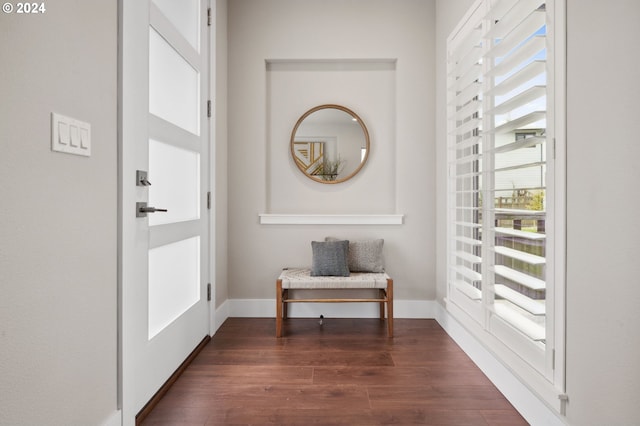 entryway featuring dark hardwood / wood-style floors