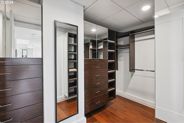 walk in closet featuring a drop ceiling and dark hardwood / wood-style flooring