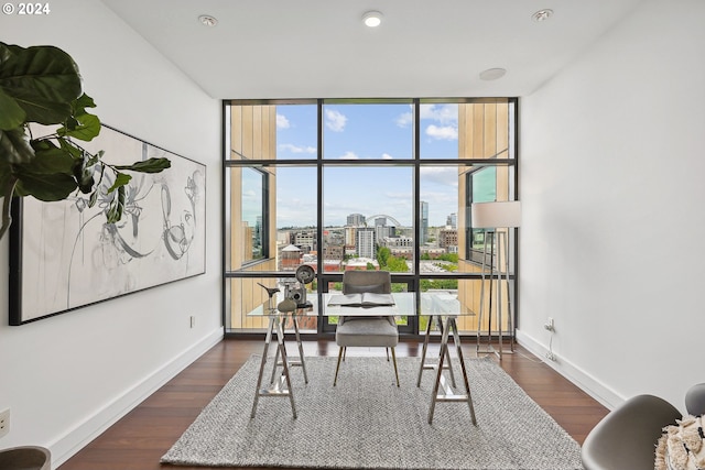 office space featuring a wall of windows and dark hardwood / wood-style floors