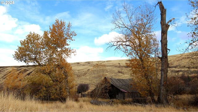 52880 Lost Valley Rd, Condon, OR 97823 - view of yard