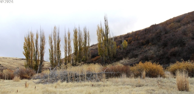 view of local wilderness featuring a mountain view