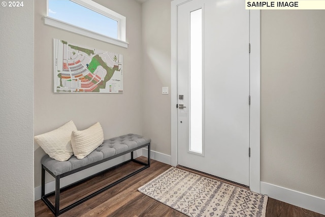 entrance foyer with wood-type flooring