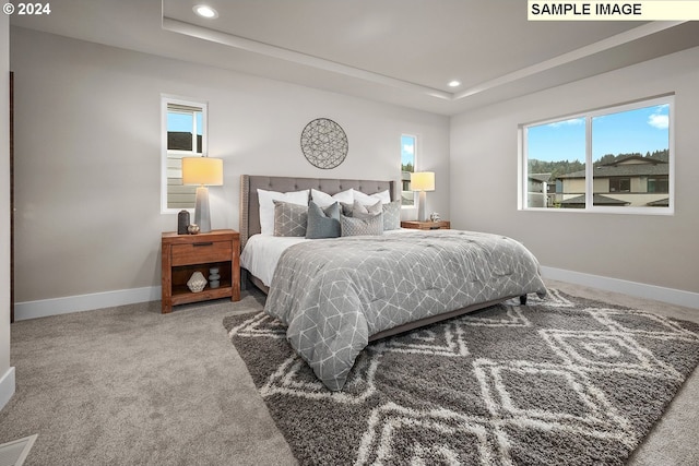 bedroom featuring carpet