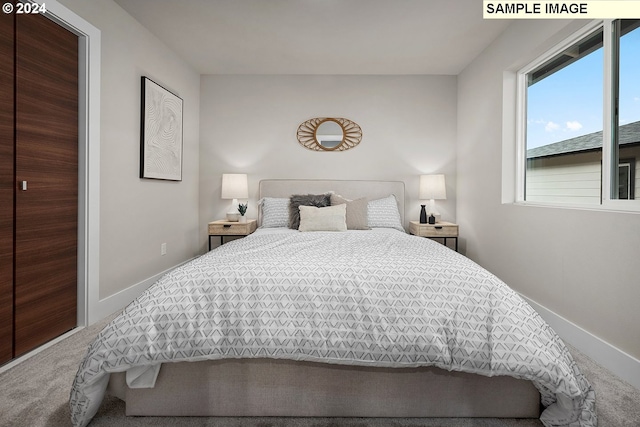 bedroom featuring carpet floors