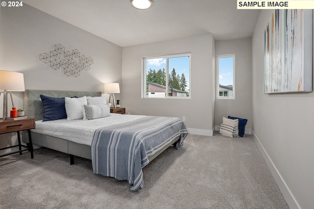 bedroom featuring carpet flooring