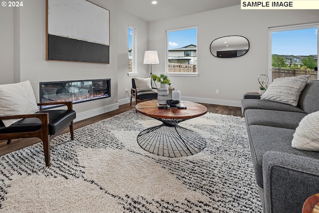 living room with hardwood / wood-style floors