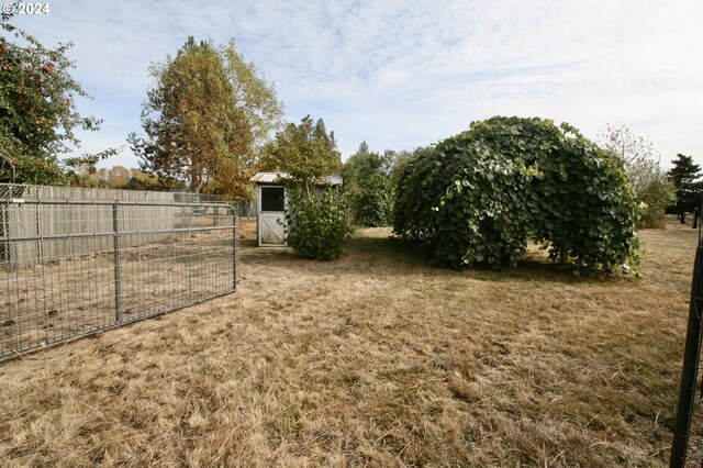 view of yard with an outdoor structure