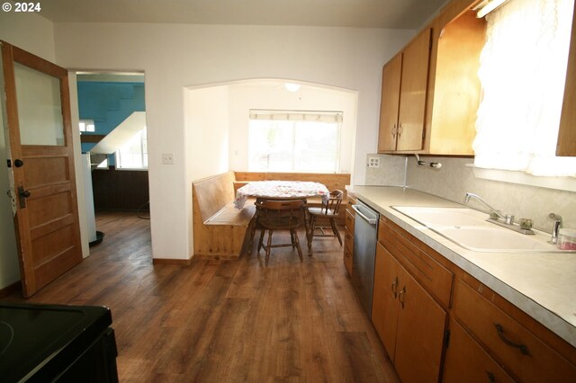 kitchen featuring dishwasher, dark hardwood / wood-style floors, sink, and a wealth of natural light