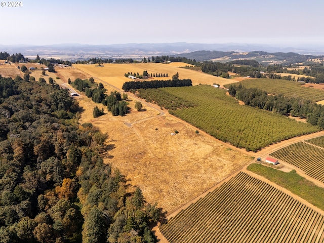 drone / aerial view featuring a rural view