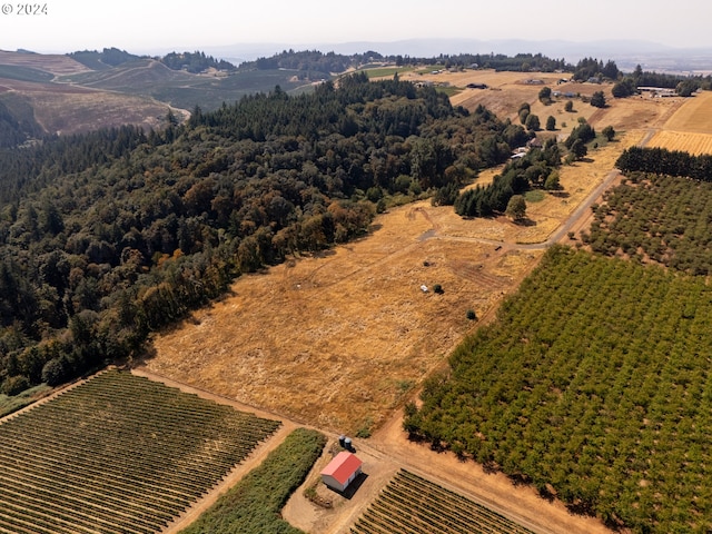 birds eye view of property with a rural view