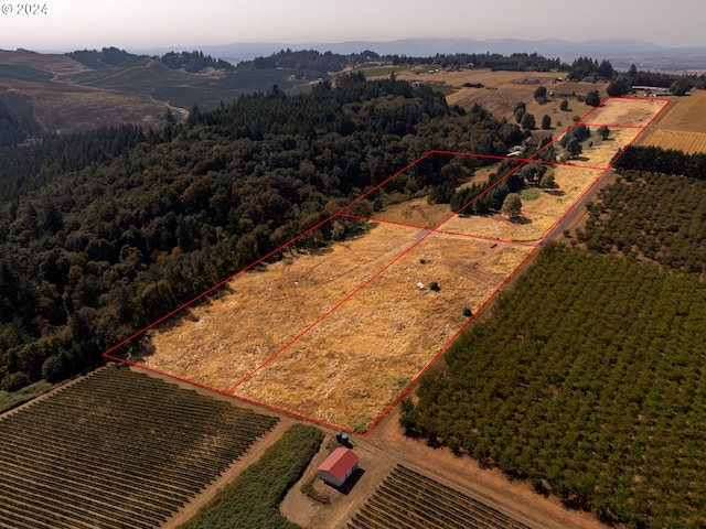 bird's eye view featuring a rural view