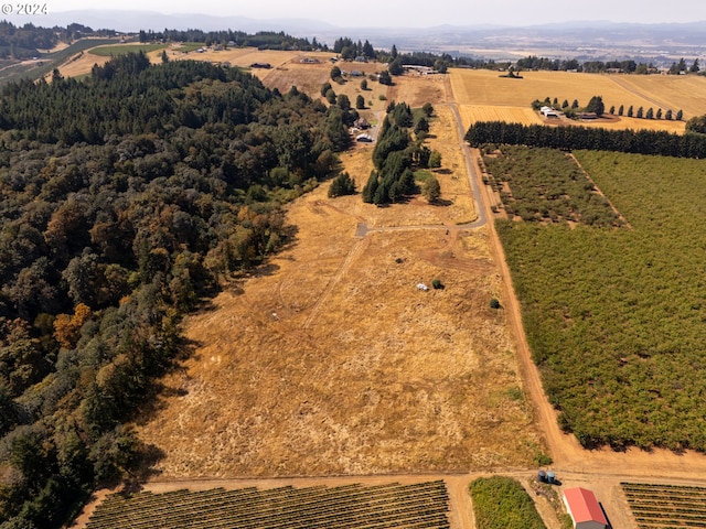 drone / aerial view featuring a rural view