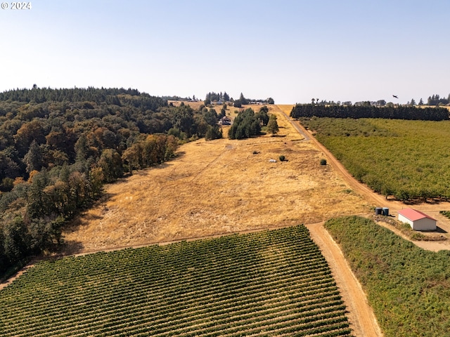 bird's eye view featuring a rural view