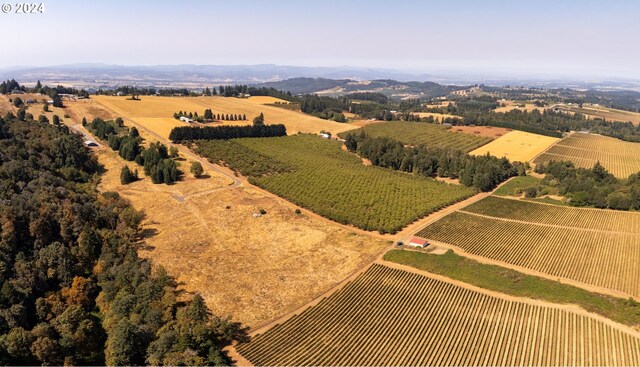 bird's eye view featuring a rural view