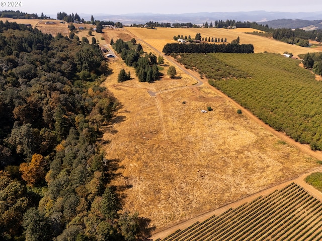 birds eye view of property featuring a rural view