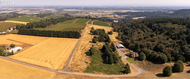 aerial view with a rural view