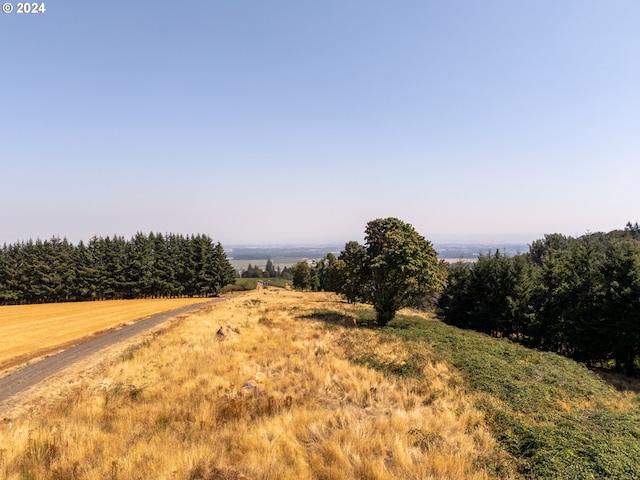 view of landscape with a rural view