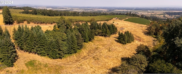 bird's eye view with a rural view