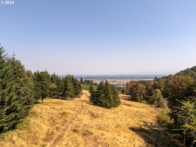 view of nature with a rural view