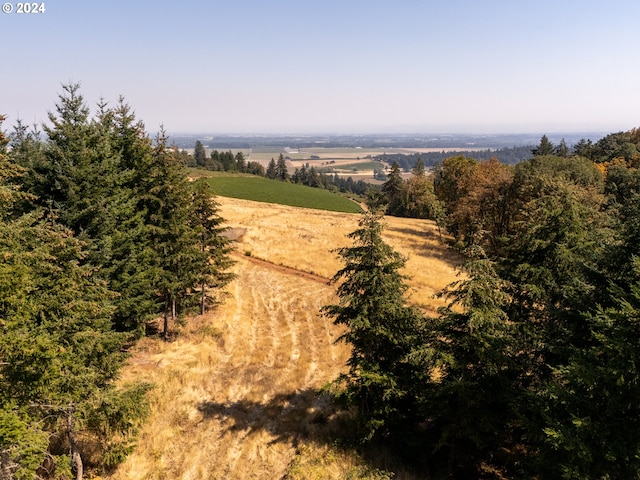 view of landscape with a rural view