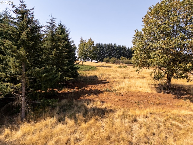 view of landscape featuring a rural view