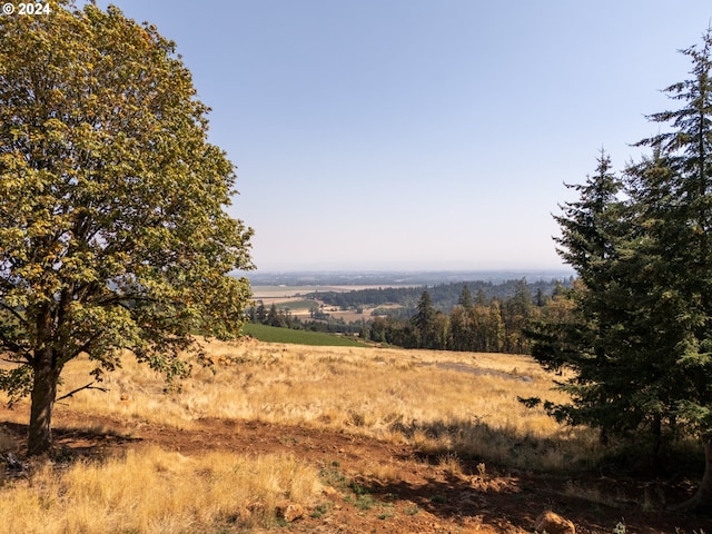 view of local wilderness with a rural view