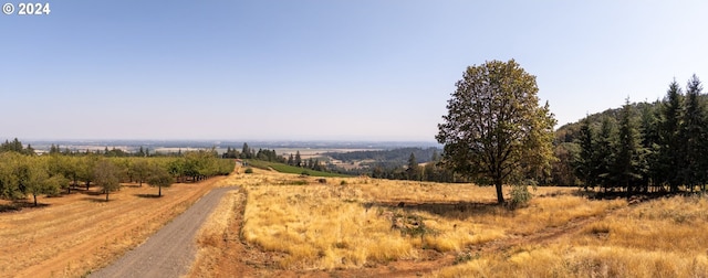 view of road with a rural view