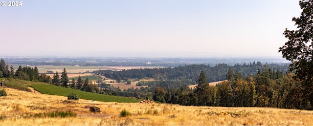 view of mountain feature featuring a rural view