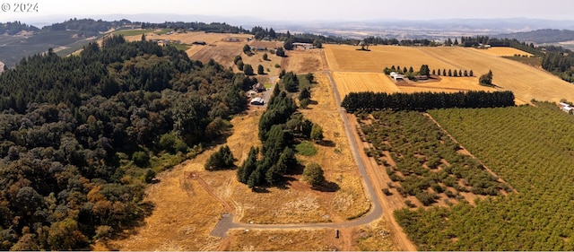 drone / aerial view featuring a rural view