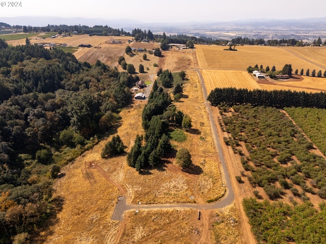 bird's eye view with a rural view