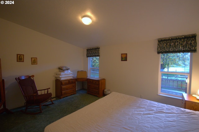 carpeted bedroom featuring multiple windows