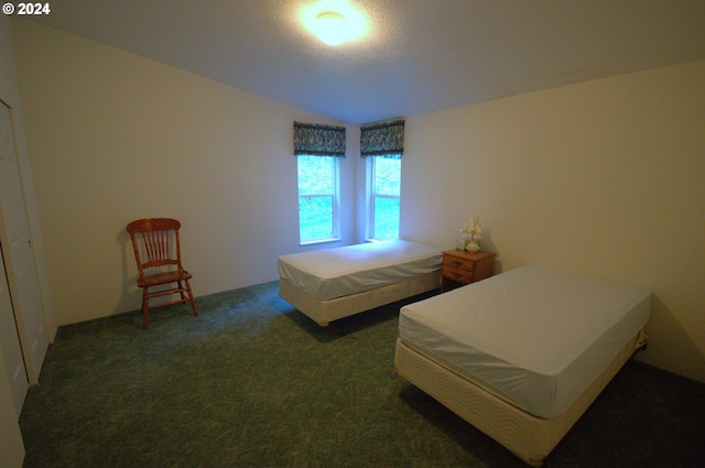 carpeted bedroom featuring vaulted ceiling and a textured ceiling