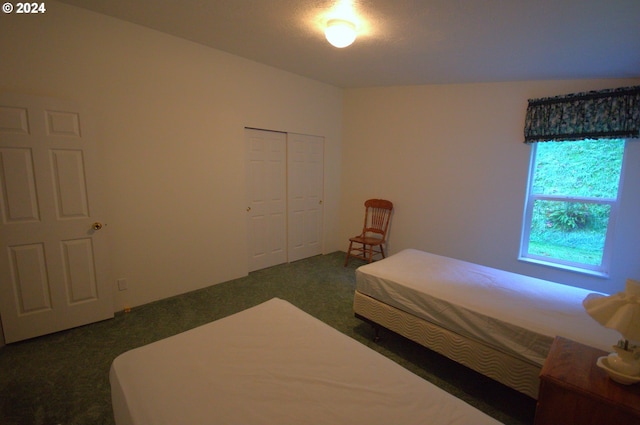 bedroom with a closet and dark colored carpet