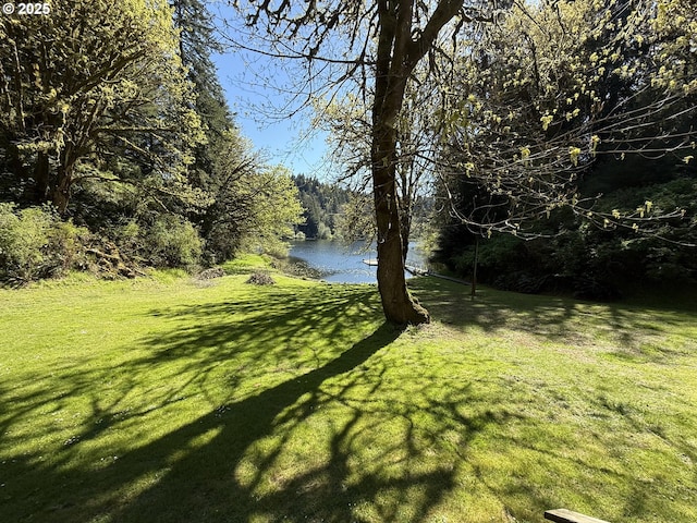 2647 S Tenmile, Lakeside, OR 97449 - view of grassy yard with a water view