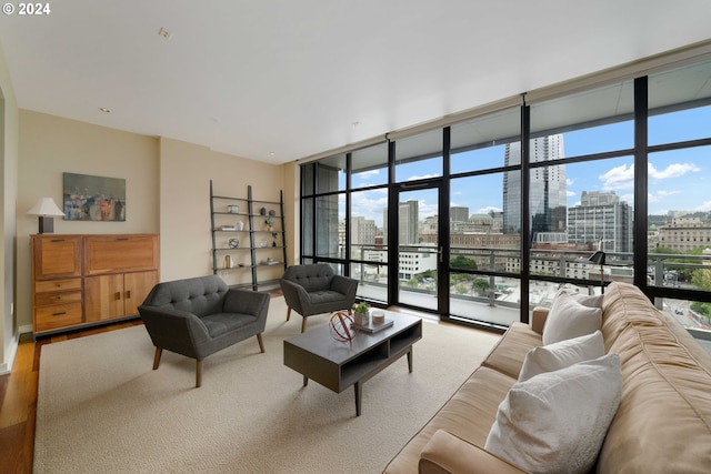 living room featuring expansive windows and wood-type flooring