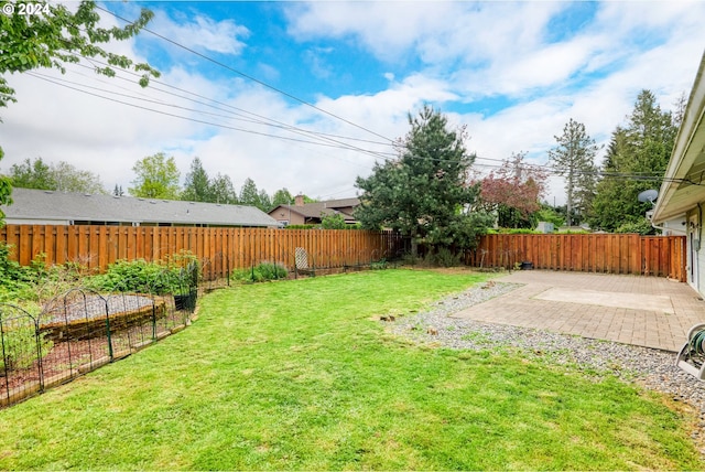 view of yard with a patio