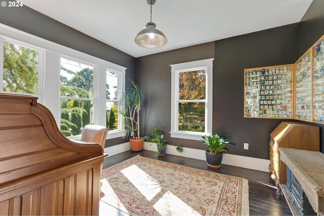 interior space featuring baseboards and dark wood-type flooring