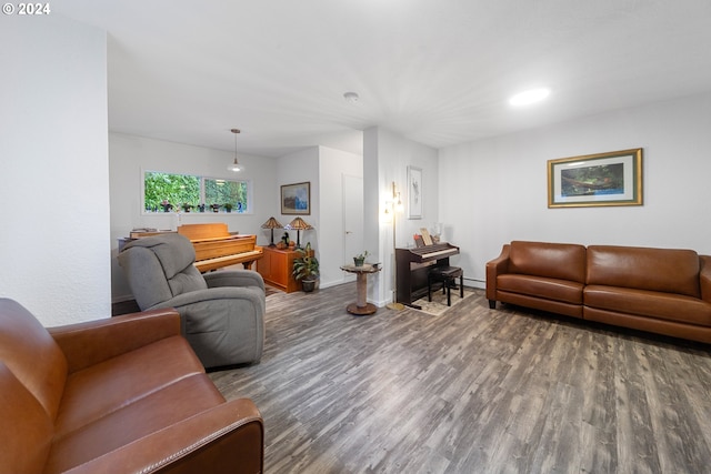 living room featuring wood-type flooring