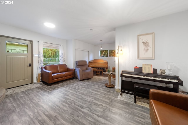 living room with hardwood / wood-style flooring